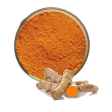 Healthcare Supplement Turmeric Root Extract 95% 98% Curcumin